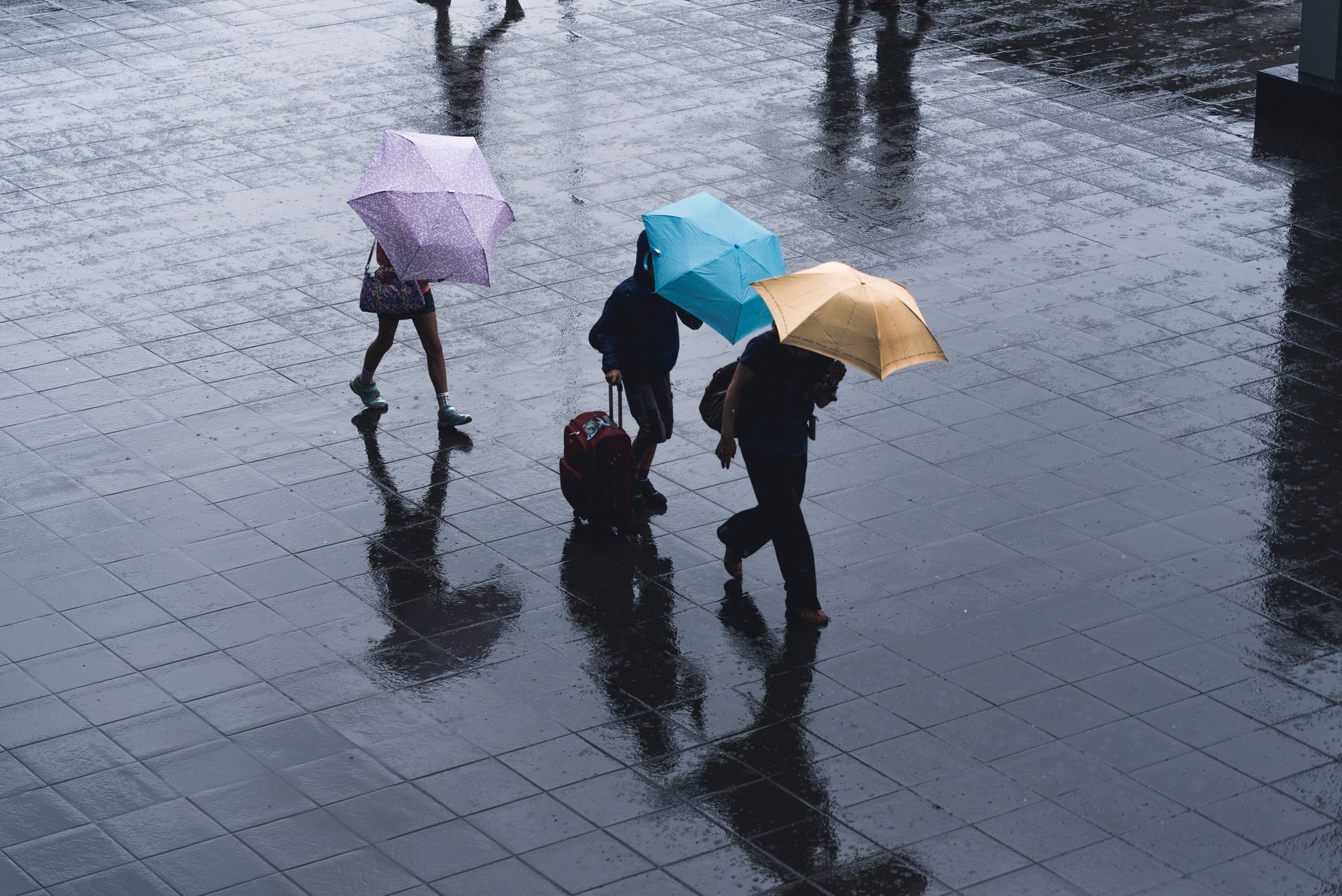 ryoji iwata IeV07y5UK3k unsplash